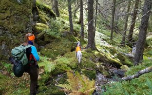 Bilde viser jeger med hund i skogen 