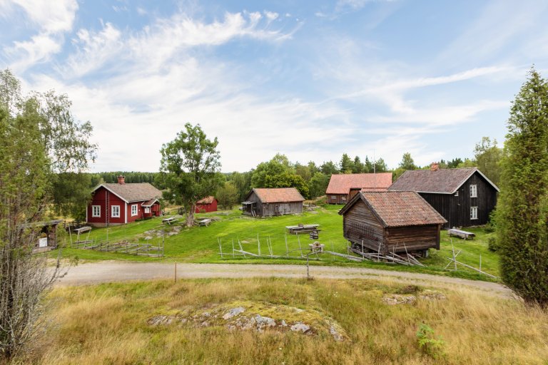 06 Næringsretta tiltak Bøensætre med plasser, foto Koppang landbruk