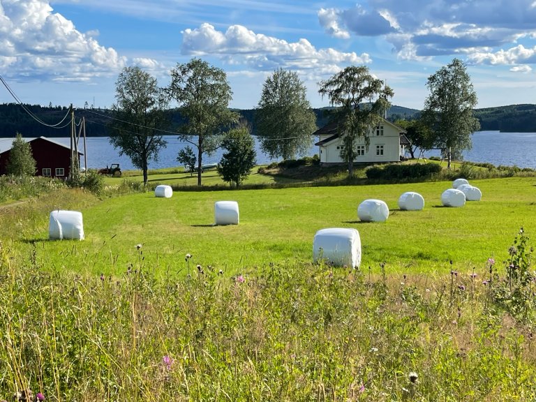 Bondegård med høyballer Foto: Landbruksdirektoratet