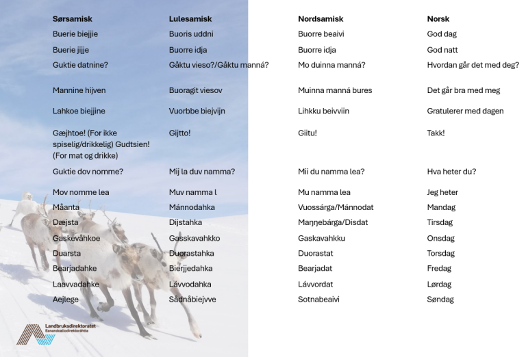 Oversikt over nyttige ord og uttrykk på de tre offisielle samiske språkene i Norge.