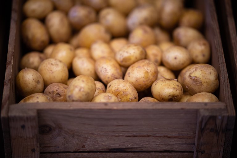 Nærbilder av vaskede poteter i en trekasse.